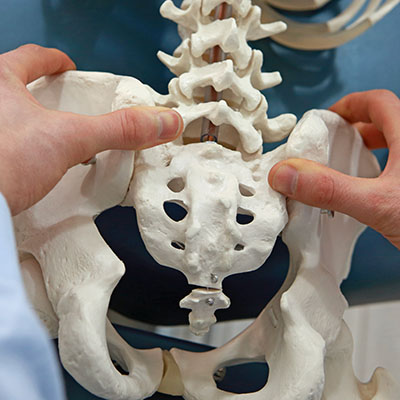 What are your chiropractors educational requirements?